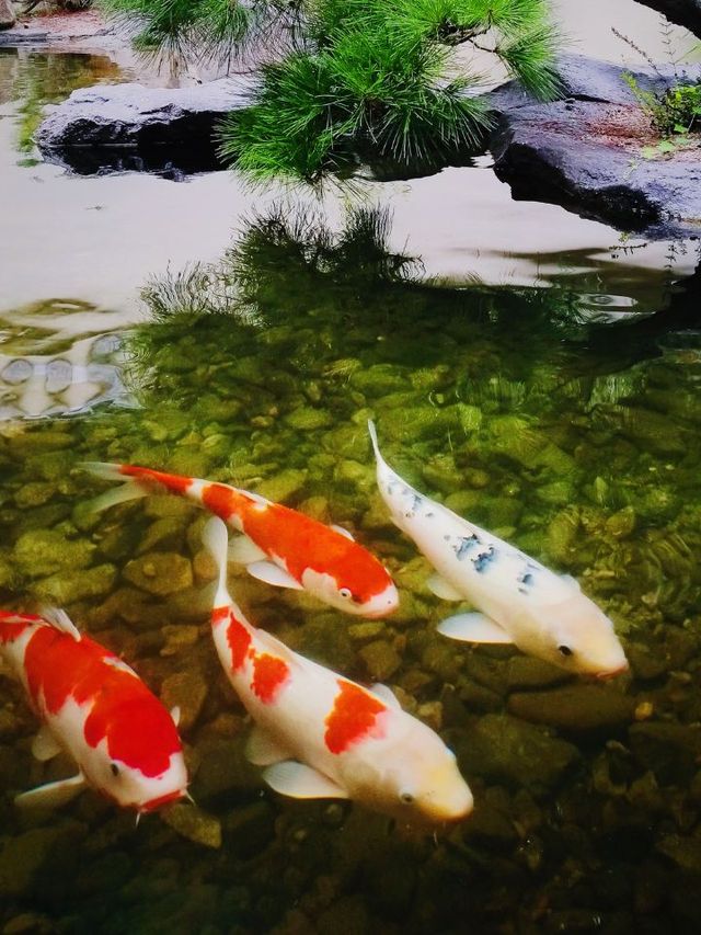 🌄 Zen Escapes: Tiantai's Tranquil Hotel Haven 🏞️