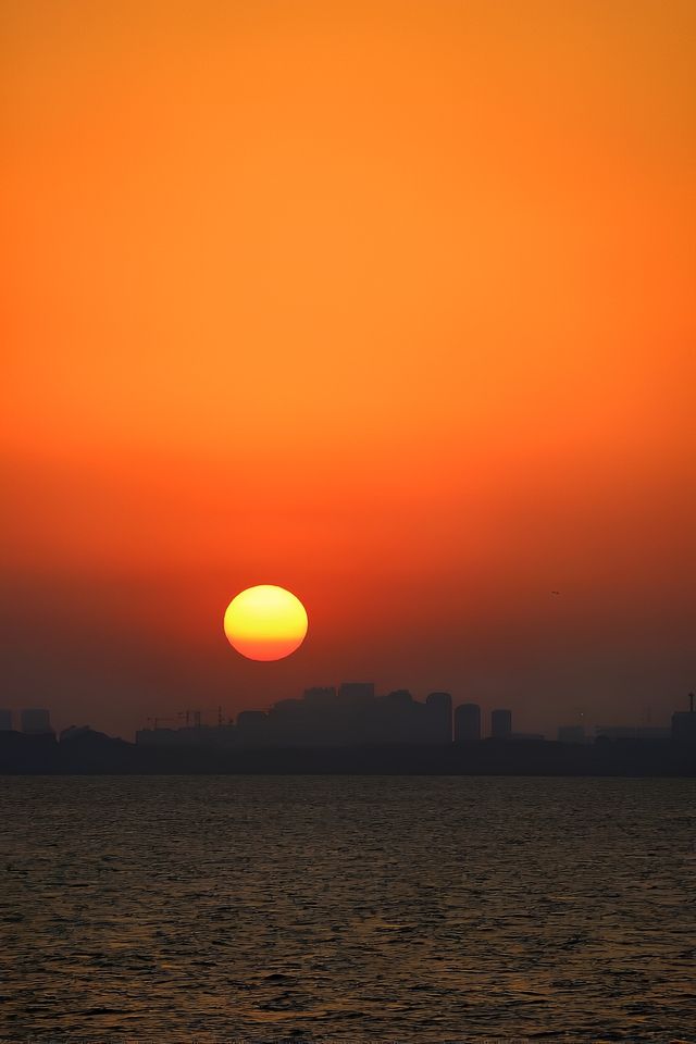 青島市｜李滄區白泥地公園。