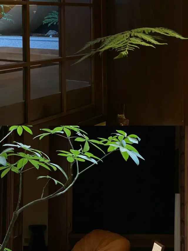 장사! 멋진 민박을 발견했어요! 울트라 추천! 