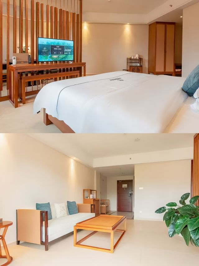 海南五指山|海南的另類打卡方式住進雨林裏。
