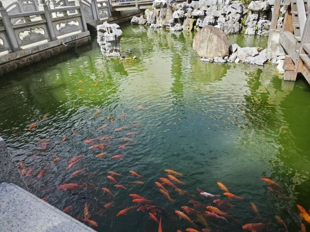 溫州洞頭 | 奔赴一場海邊的浪漫之旅。
