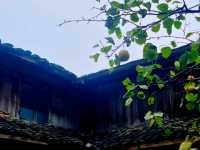 江南香格里拉公盂。