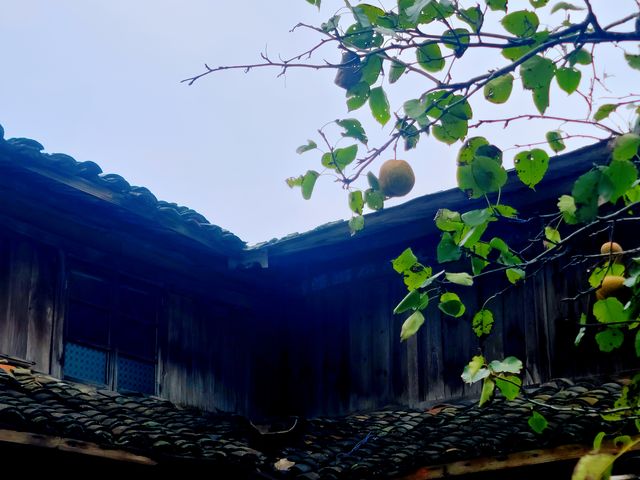江南香格里拉公盂。