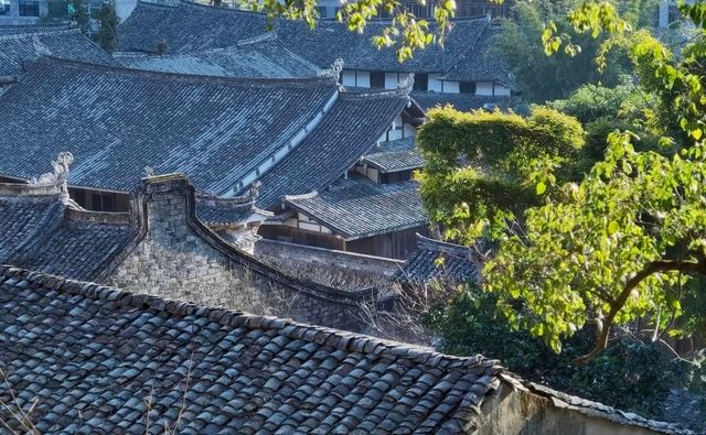 埭頭村鄉土建築，徜徉松風水月間。