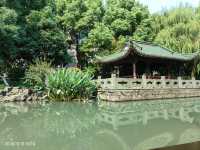 壩子橋至梅花碑的水上公交風景線。