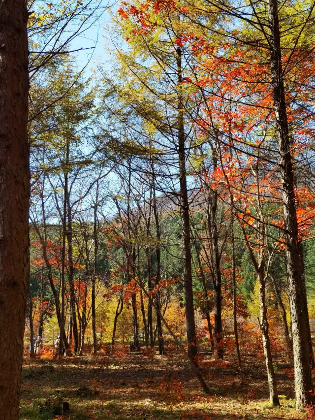 สีสันสดใสของหุบเขาเหลาเปียนโกว