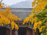 房山一日遊，雲居寺！。