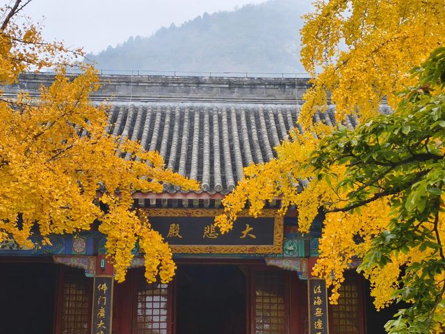 房山一日遊，雲居寺！。