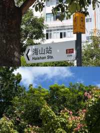 深圳海山地鐵站，見山見海。