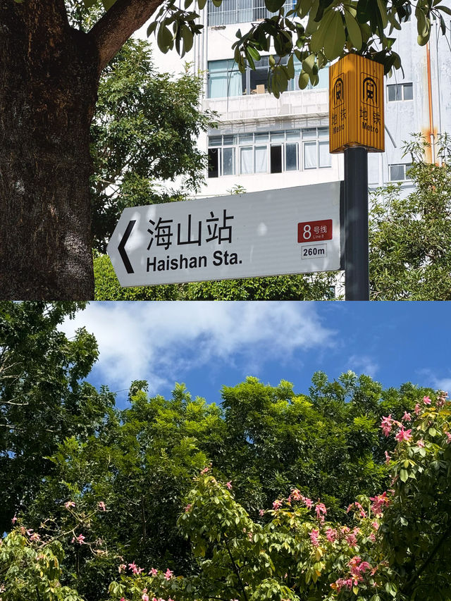 深圳海山地鐵站，見山見海。
