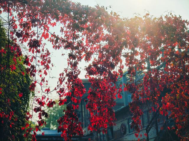 西安‖半坡國際藝術區。