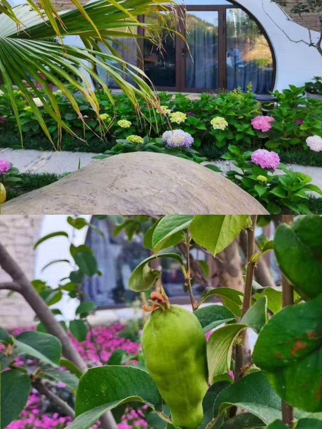 天津/摩洛哥風格/優雅避暑優雅民宿。