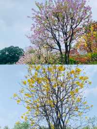 《佛山中山公園，休閒與文化的樂園》。