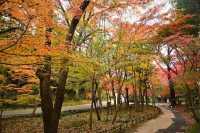 Nagoya's Higashiyama Zoo Offers Stunning Autumn Foliage