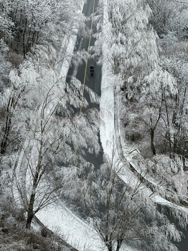 寶雞鳳縣嶺南公園|乘坐秦嶺小火車來看雪。