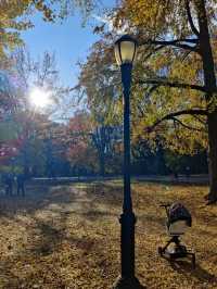 Explore the Beauty of Brooklyn's Prospect Park in Autumn