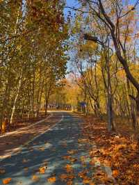 河南鄭州黃河風景名勝區｜炎黃二帝塑像。