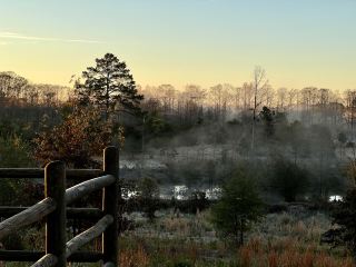 Caddo Lake State Park。