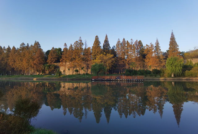 荊州古城－明月濕地公園。