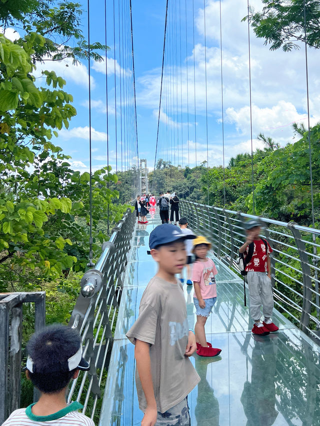 佛山週末！！重遊南丹山森林王國。