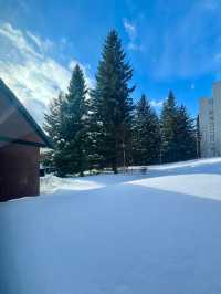 北海道度假村入住初體驗獻給了雪白的北海道。