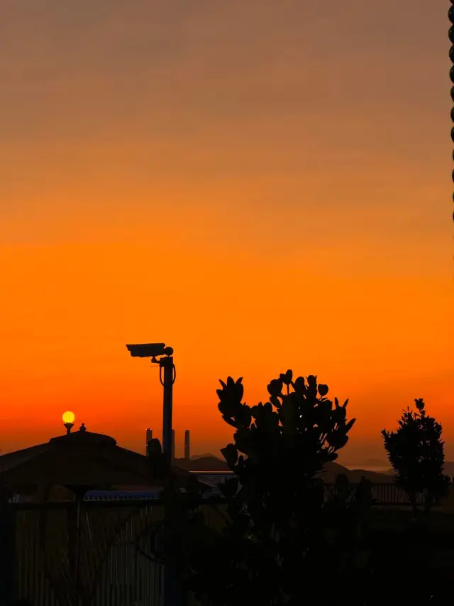 Hong Kong Ocean Park is super fun!