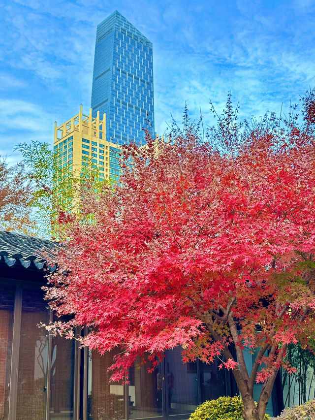 秋水碧連天一色 | 武漢解放公園