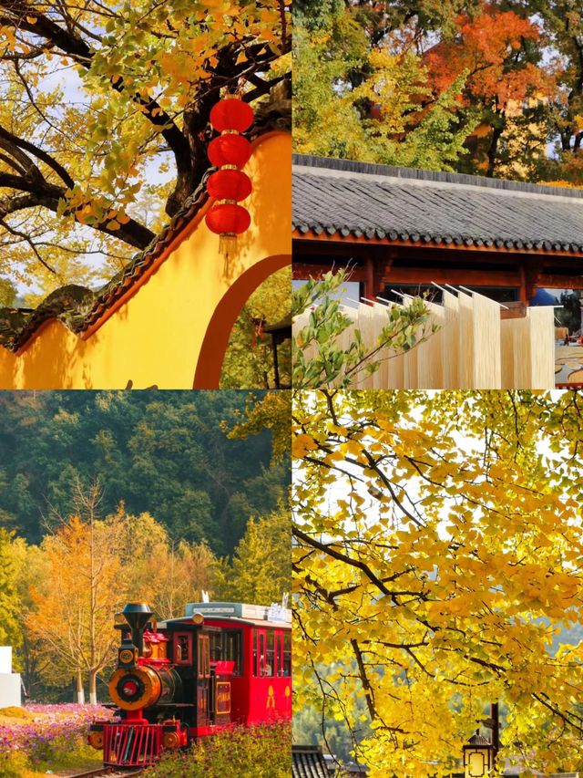 真沒去國外在浙江開往童話的列車 真沒去國外在浙江開往童話的列車