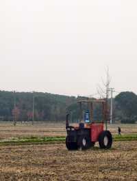 週末不知道去哪裡就來嘉北郊野公園放鬆下心情吧！
