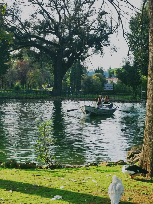 There is sky, land, and scenery here. Look here