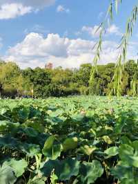 6天暢遊昆明-大理市-麗江 超詳細攻略來襲