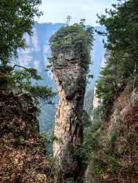 長沙-韶山-張家界5日遊長者版旅行指南 行動不停