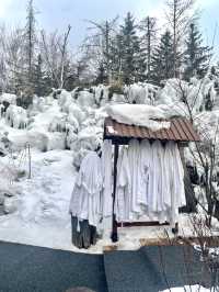 長春-長白山-延吉滑雪超詳細全攻略速看