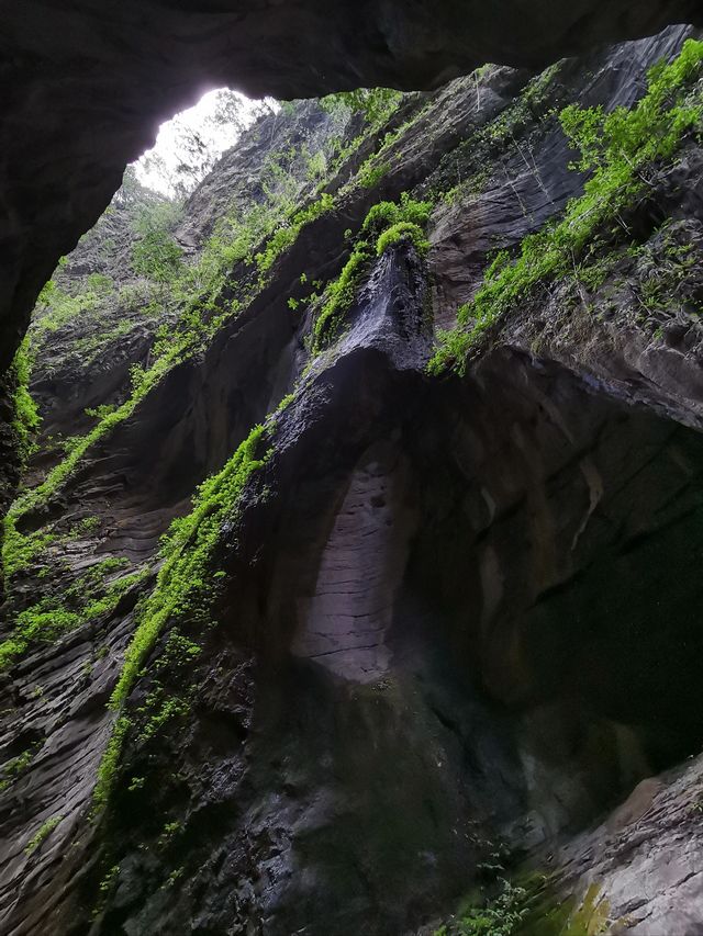 重慶2日遊 輕鬆打卡熱門景點