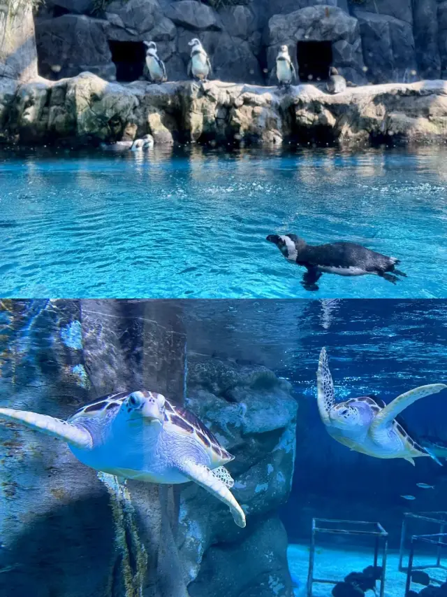 제주도 워터플라넷이 정말 아름답네요!