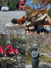 高知市：小眾旅行的驚喜之境