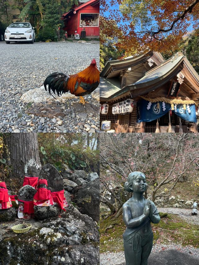 高知市：小眾旅行的驚喜之境