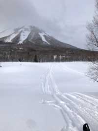 北海道小眾玩法！不滑雪也能馳騁大山