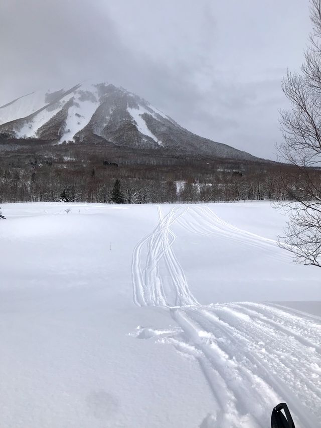 北海道小眾玩法！不滑雪也能馳騁大山