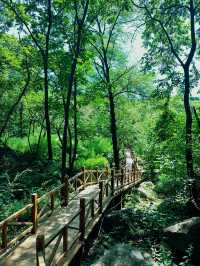 老友出遊優選2日暢遊鄭州-焦作-雲台山攻略