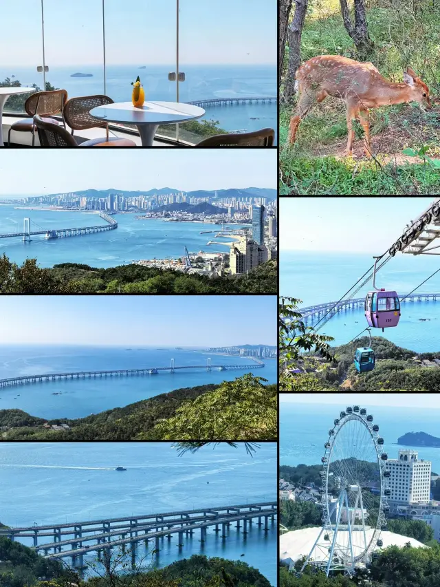 Dalian 4-Day Winter Vacation Itinerary: Must-See Attractions