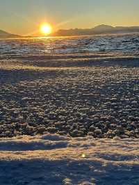 春節去夏河 2天1夜暢遊攻略
