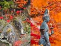 藏在日本的綠野仙蹤 | 小松那谷寺