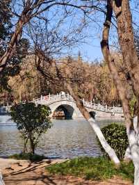 豐慶公園春已至，美好終將來臨！