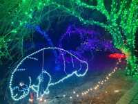 Experience a Warm Winter in Phoenix: Christmas Light Festivals
