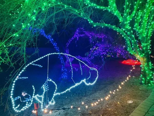 Experience a Warm Winter in Phoenix: Christmas Light Festivals