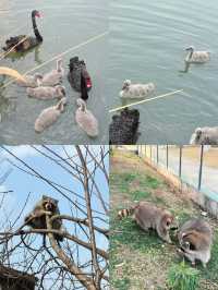 市區公園裏藏了個動物園！這也太超前了吧！