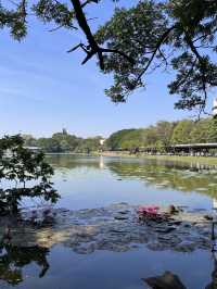 柬埔寨等多國6日遊 玩轉東南亞的秘笈