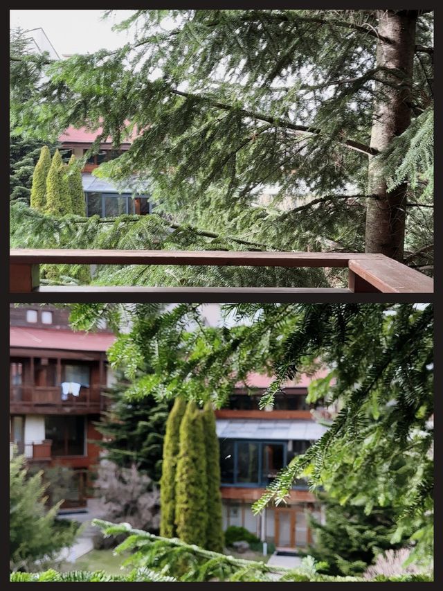 班斯科嘅秘密花園——福朋喜來登酒店超全入住攻略