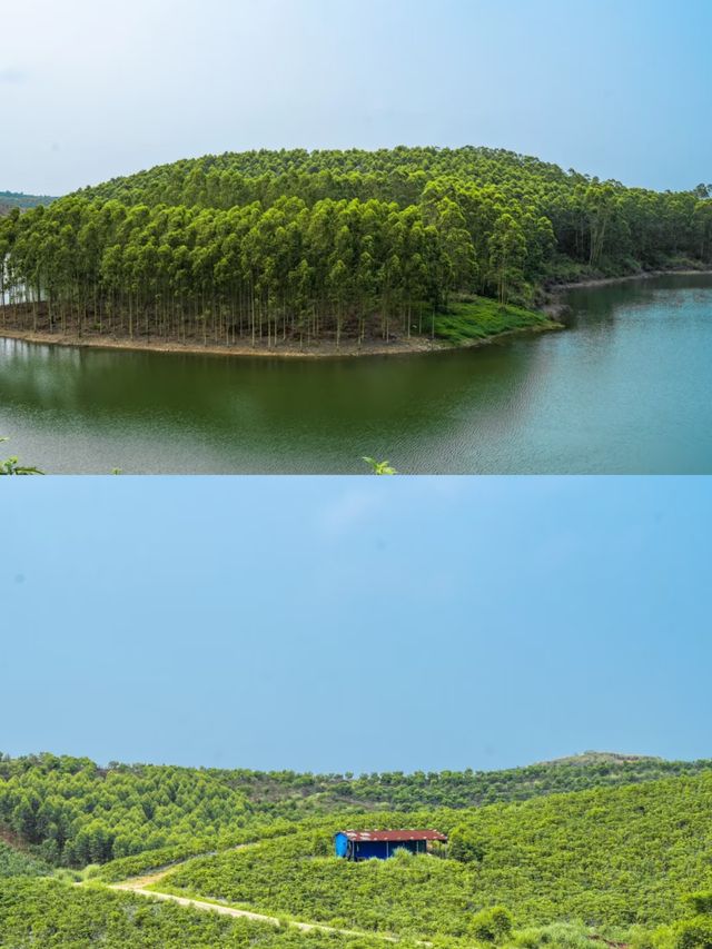 探秘廣西北海星島湖，美如仙境！
